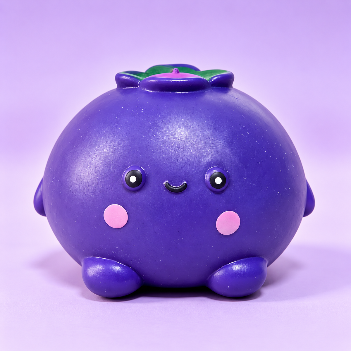 Blueberry Squishy Toy