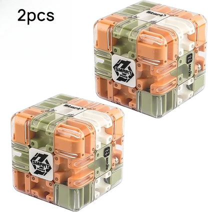 3D Maze Puzzle Cube Brain Teaser