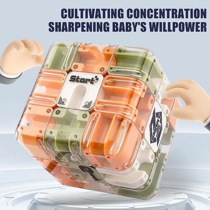 3D Maze Puzzle Cube Brain Teaser